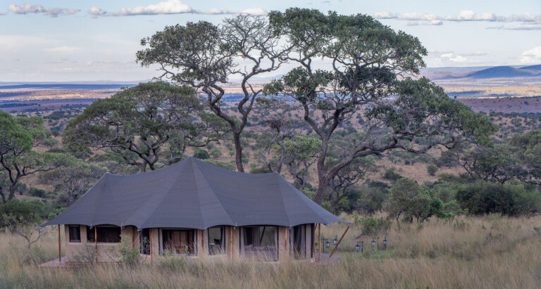 Aurari Camp, Танзания