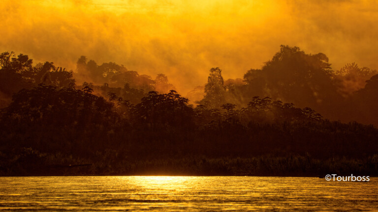Амазонка в Перу