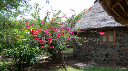Paradise Lodge, Эфиопия