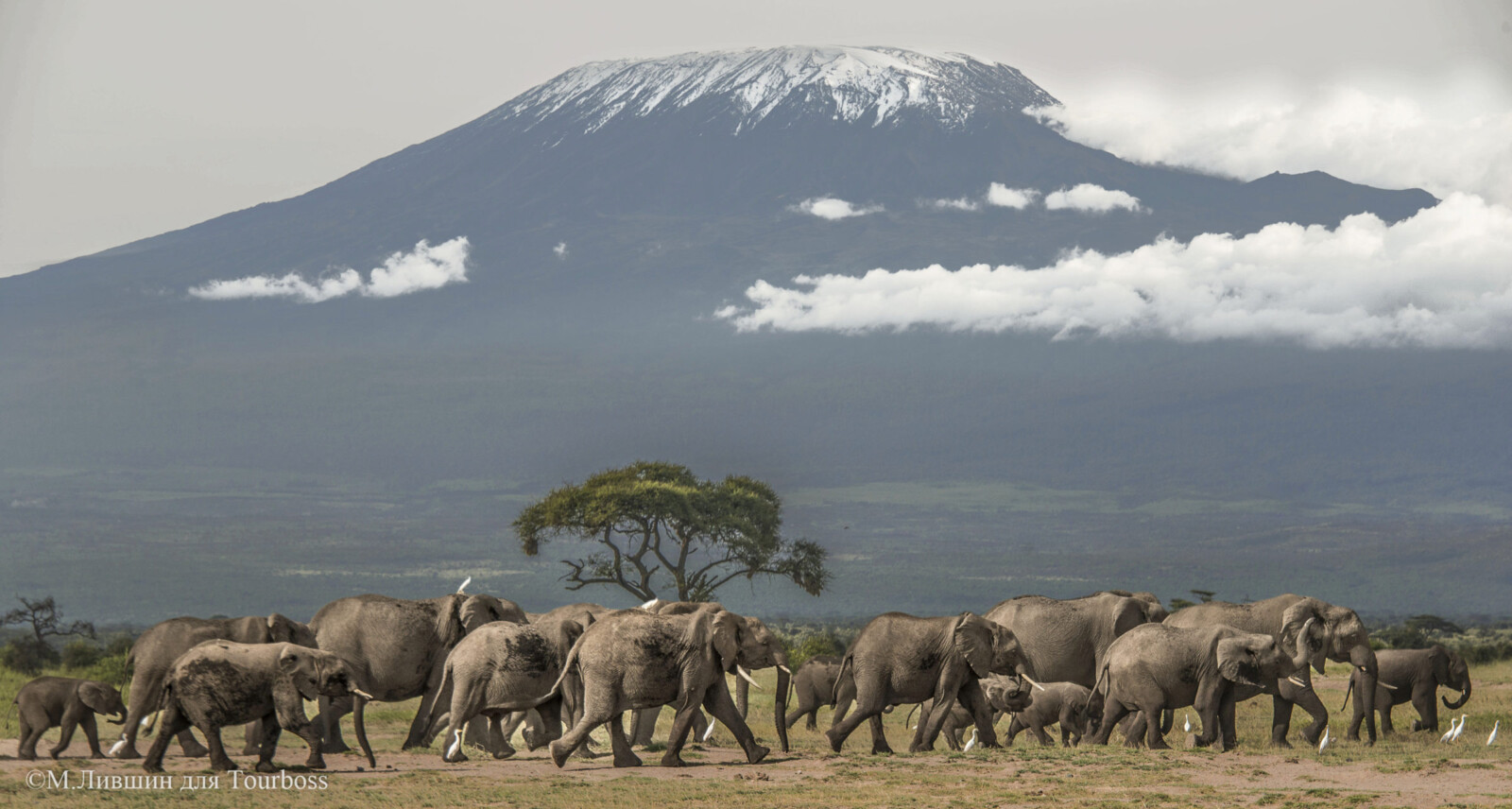 Amboseli, Кения Фото туристов