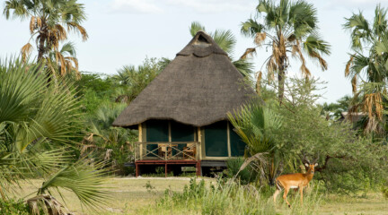 Maramboi Tented Camp, Танзания