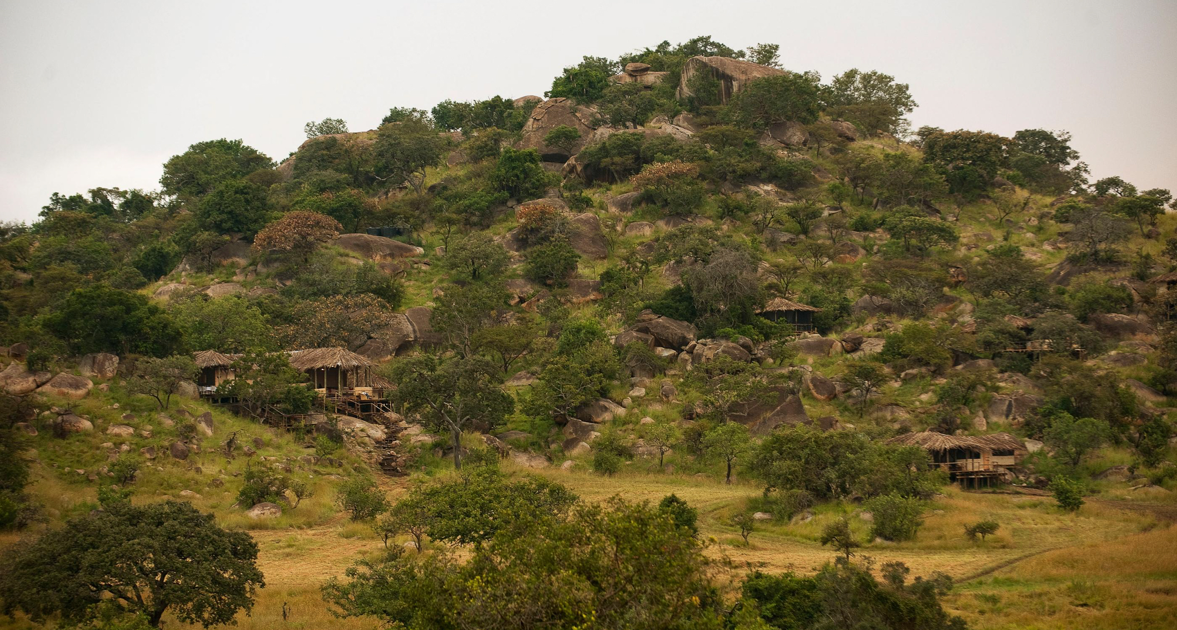 Lamai Serengeti, Танзания