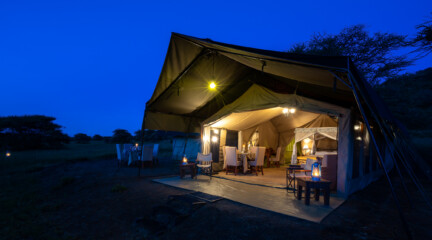 Serengeti Woodlands Camp, Танзания