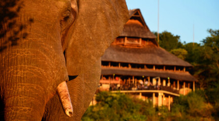 Victoria Falls Safari Lodge, Зимбабве