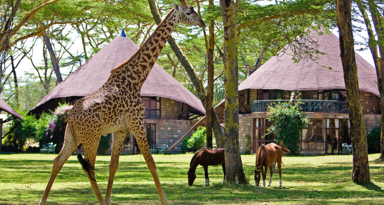 Lake Naivasha Sopa Resort, Кения