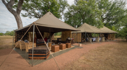 Hwange Bush Camp, Зимбабве